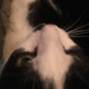 Meet your Posher, Hailey